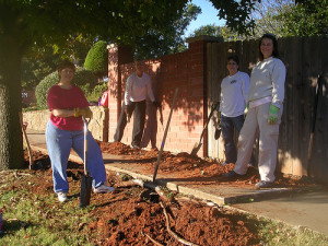 Neighborhood Workday