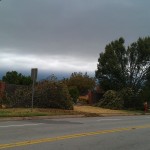 Storm damages fences and trees